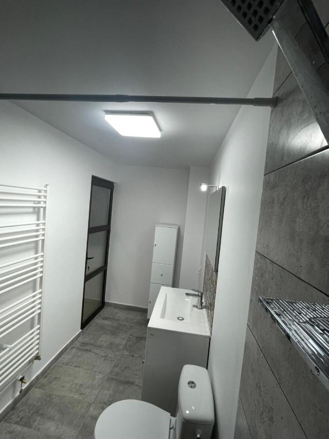 Appartement Casa Dan à Buzău Extérieur photo
