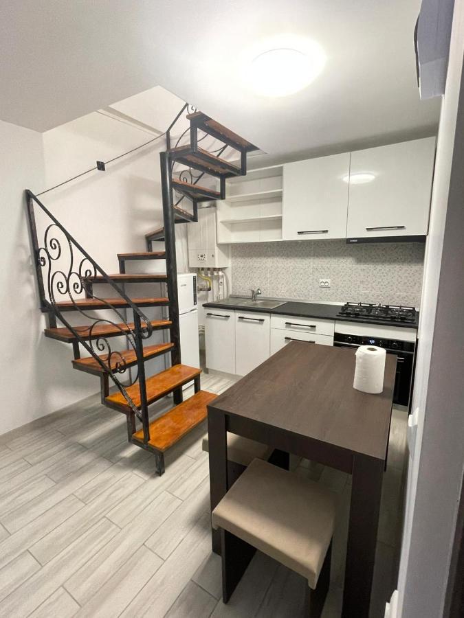 Appartement Casa Dan à Buzău Extérieur photo